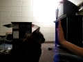 Spectre's high five