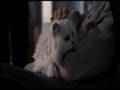  - MovieZen Video