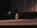 videos de Black Monday Final Trailer