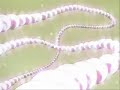 Every time we touch- Anna Kyoyama