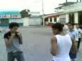 videos de pelea mellizos