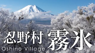 絶景空撮 忍野村の霧氷 - Aerial view of Rime ice at Oshino Village