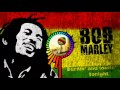 JAMRUD - Pelangi Dimatamu Cover Reggae Version ( Remix New )