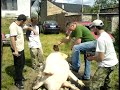 Dubňanská Zabijačka