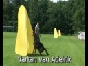 Thumbnail #3
