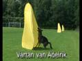 Schutzhund Vartan van Adelrik Hold and Bark