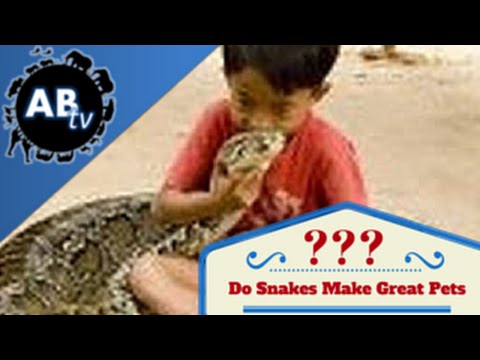 YouTube reptile video