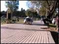 sustos-scare-terror-en-la-partner-11-edicion-navidad.html