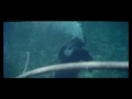 Awolnation – Kill Your Heroes