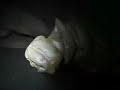 this is a long video, about 15 minutes i think, detailing a recent cave mapping trip to the necronom section of the webster cave system.  the first few minutes were shot in the dark, so do not attempt to adjust your monitor!  the remaining segments are all unedited, slow at times, to be sure, but reflect the type of caving this project entails.  one segment show solo caving up to the mulu sump, horsing around in marathon lake, and the humdrum of belly-crawl surveying. the video stars jeff gillette, mark phillips, pat 