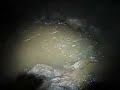 this is a long video, about 15 minutes i think, detailing a recent cave mapping trip to the necronom section of the webster cave system.  the first few minutes were shot in the dark, so do not attempt to adjust your monitor!  the remaining segments are all unedited, slow at times, to be sure, but reflect the type of caving this project entails.  one segment show solo caving up to the mulu sump, horsing around in marathon lake, and the humdrum of belly-crawl surveying. the video stars jeff gillette, mark phillips, pat 