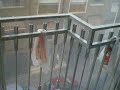 tormenta en elche 23-09-2008