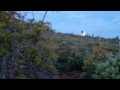 Mogollon Monster 100 Trial Run