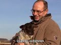 Priče sa zemlje mira - Elchine i prijatelji