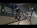 videos de Doberman vs Scorpion