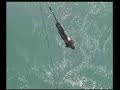 NZ - Saut a l\ NZ - Saut a l\