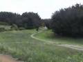 070825幕張海浜公園ＭＴＢコース