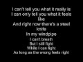Love The Way You Lie