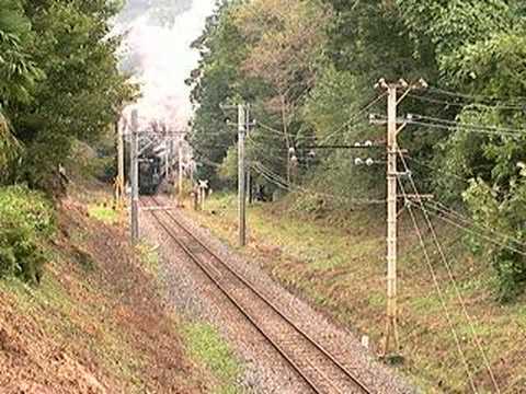 C58363　パレオエクスプレス　秩父鉄道　（浦山口-武州中川）
