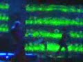 tool-2007-rosetta-stoned-nz-messy-ending.html