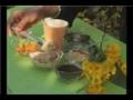 alternative therapies rheumatoid arthritis
