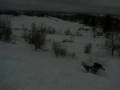 Video De Snow
