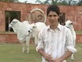 Video institucional sobre a marca Nelore 42, de Cícero de Souza.
