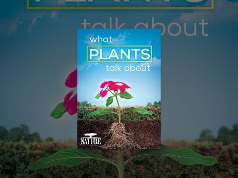 Nature: What Plants Talk About