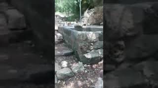 قريه عين غزال/ قضاء حيفااا