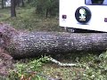 Hurricane Ike Porter, Tx Toyota Mr2 Spyder crushed by tree