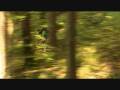 videos de SUMMARY - Trailer
