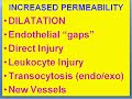 Medical School Pathology, Chapter 2b