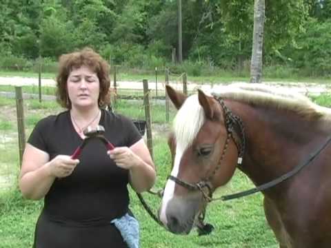 how to trim horse hooves