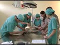 Hospital Veterinario