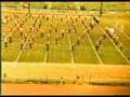 Vidor Band 1966