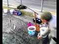 PALAMUT DOLU ÇAPARİ