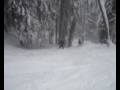 videos de Skie/Snowboard vakantie Bogerman Axamer Lizum