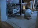 Crawling Begins