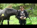 PODWODNY SKARB 2009- TAJEMNICA HOMARA