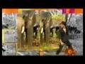 NAKKA MUKKA ; STEP BY STEP DANCE VIDEO 02: TAMIL MOVIE TRAILER Kadhalil Vizhunthen