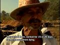 Road to Amazon destruction? Road to Amazon destruction?