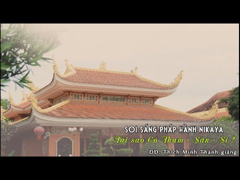 Soi Sáng Pháp Hành NIKAYA – Tại Sao Có Tham Sân Si