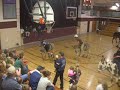 donkey fun! donkey fun!