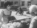 Zwiastun: Dwa żebra Adama