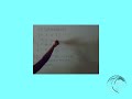 determinante de una matriz determinante de una matriz