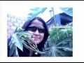 ***Evelin***