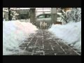 La neve