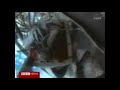 Canada Meteor Explained.wmv