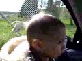 adam mohammad milhem & a tiger