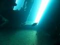 videos de Shipwreck on a single breath 3